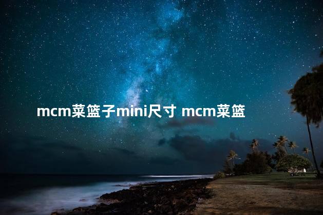 mcm菜篮子mini尺寸 mcm菜篮子适合小个子吗